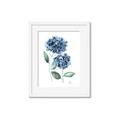 Picture of Blue Hydrangeas I _GroupedProduct_Rectangle_Portrait_Framed_Matted_