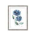 Picture of Blue Hydrangeas I _GroupedProduct_Rectangle_Portrait_Framed_Matted_