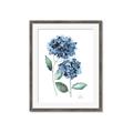 Picture of Blue Hydrangeas I _GroupedProduct_Rectangle_Portrait_Framed_Matted_