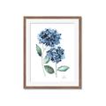 Picture of Blue Hydrangeas I _GroupedProduct_Rectangle_Portrait_Framed_Matted_