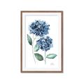 Picture of Blue Hydrangeas I _GroupedProduct_Rectangle_Portrait_Framed_Matted_