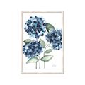 Picture of Blue Hydrangeas II _GroupedProduct_Rectangle_Portrait_Framed_Matted_