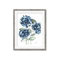 Picture of Blue Hydrangeas II _GroupedProduct_Rectangle_Portrait_Framed_Matted_