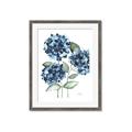 Picture of Blue Hydrangeas II _GroupedProduct_Rectangle_Portrait_Framed_Matted_