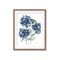 Picture of Blue Hydrangeas II _GroupedProduct_Rectangle_Portrait_Framed_Matted_