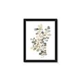 Picture of Soft Spoken I _GroupedProduct_Rectangle_Portrait_Framed_Matted_