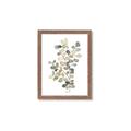 Picture of Soft Spoken I _GroupedProduct_Rectangle_Portrait_Framed_Matted_