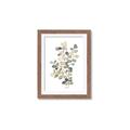 Picture of Soft Spoken I _GroupedProduct_Rectangle_Portrait_Framed_Matted_