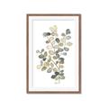 Picture of Soft Spoken I _GroupedProduct_Rectangle_Portrait_Framed_Matted_