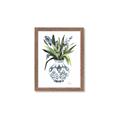 Picture of Grand House Plants II _GroupedProduct_Rectangle_Portrait_Framed_Matted_