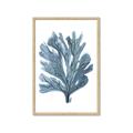 Picture of Blue Tree II _GroupedProduct_Rectangle_Portrait_Framed_Matted_