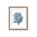 Picture of Blue Tree II _GroupedProduct_Rectangle_Portrait_Framed_Matted_