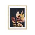 Picture of Vivid Leaves II _GroupedProduct_Rectangle_Portrait_Framed_Matted_
