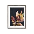 Picture of Vivid Leaves II _GroupedProduct_Rectangle_Portrait_Framed_Matted_