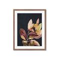 Picture of Vivid Leaves II _GroupedProduct_Rectangle_Portrait_Framed_Matted_