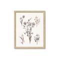 Picture of Wall flowers I _GroupedProduct_Rectangle_Portrait_Framed_Matted_