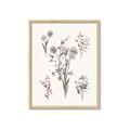 Picture of Wall flowers I _GroupedProduct_Rectangle_Portrait_Framed_Matted_
