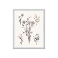 Picture of Wall flowers I _GroupedProduct_Rectangle_Portrait_Framed_Matted_