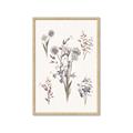 Picture of Wall flowers I _GroupedProduct_Rectangle_Portrait_Framed_Matted_
