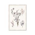 Picture of Wall flowers I _GroupedProduct_Rectangle_Portrait_Framed_Matted_