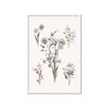 Picture of Wall flowers I _GroupedProduct_Rectangle_Portrait_Framed_Matted_