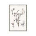 Picture of Wall flowers I _GroupedProduct_Rectangle_Portrait_Framed_Matted_