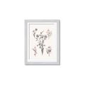 Picture of Wall flowers I _GroupedProduct_Rectangle_Portrait_Framed_Matted_
