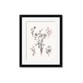 Picture of Wall flowers I _GroupedProduct_Rectangle_Portrait_Framed_Matted_