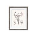 Picture of Wall flowers I _GroupedProduct_Rectangle_Portrait_Framed_Matted_