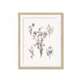 Picture of Wall flowers I _GroupedProduct_Rectangle_Portrait_Framed_Matted_