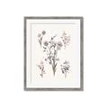 Picture of Wall flowers I _GroupedProduct_Rectangle_Portrait_Framed_Matted_