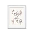 Picture of Wall flowers I _GroupedProduct_Rectangle_Portrait_Framed_Matted_