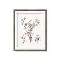 Picture of Wall flowers I _GroupedProduct_Rectangle_Portrait_Framed_Matted_