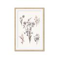 Picture of Wall flowers I _GroupedProduct_Rectangle_Portrait_Framed_Matted_