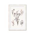 Picture of Wall flowers I _GroupedProduct_Rectangle_Portrait_Framed_Matted_