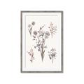 Picture of Wall flowers I _GroupedProduct_Rectangle_Portrait_Framed_Matted_