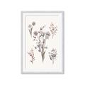 Picture of Wall flowers I _GroupedProduct_Rectangle_Portrait_Framed_Matted_