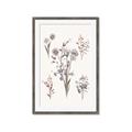 Picture of Wall flowers I _GroupedProduct_Rectangle_Portrait_Framed_Matted_
