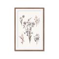 Picture of Wall flowers I _GroupedProduct_Rectangle_Portrait_Framed_Matted_