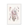 Picture of Wall flowers II _GroupedProduct_Rectangle_Portrait_Framed_Matted_