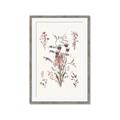 Picture of Wall flowers III _GroupedProduct_Rectangle_Portrait_Framed_Matted_