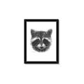 Picture of Raccoon Sketch _GroupedProduct_Rectangle_Portrait_Framed_Matted_