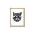 Picture of Raccoon Sketch _GroupedProduct_Rectangle_Portrait_Framed_Matted_