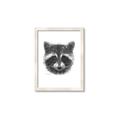 Picture of Raccoon Sketch _GroupedProduct_Rectangle_Portrait_Framed_Matted_
