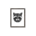 Picture of Raccoon Sketch _GroupedProduct_Rectangle_Portrait_Framed_Matted_