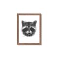 Picture of Raccoon Sketch _GroupedProduct_Rectangle_Portrait_Framed_Matted_