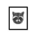 Picture of Raccoon Sketch _GroupedProduct_Rectangle_Portrait_Framed_Matted_