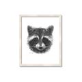 Picture of Raccoon Sketch _GroupedProduct_Rectangle_Portrait_Framed_Matted_
