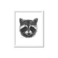 Picture of Raccoon Sketch _GroupedProduct_Rectangle_Portrait_Framed_Matted_