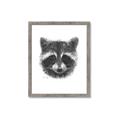 Picture of Raccoon Sketch _GroupedProduct_Rectangle_Portrait_Framed_Matted_